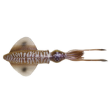 SAVAGE GEAR 3D SWIM SQUID