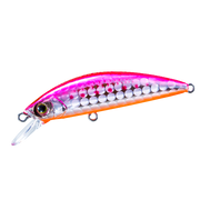 HARDCORE® LG HEAVY MINNOW SINKING