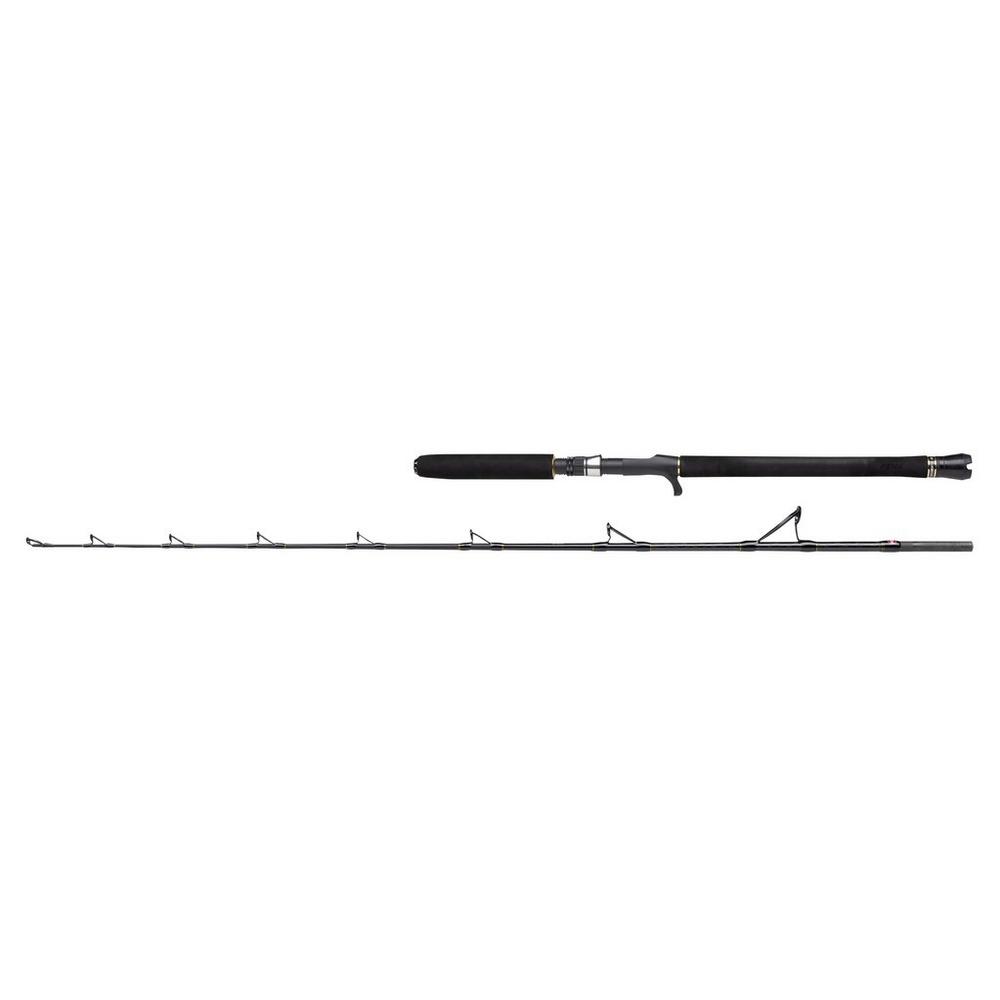 PENN Regiment III Jig Casting Rod